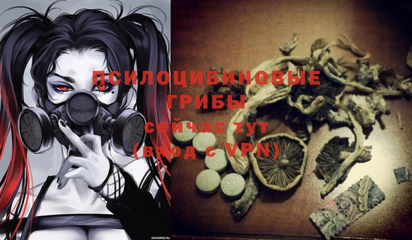 дурь Абаза