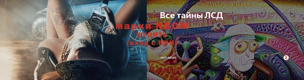 индика Алексеевка
